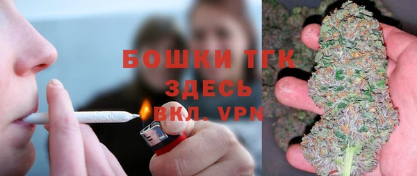 прущий лед Козловка