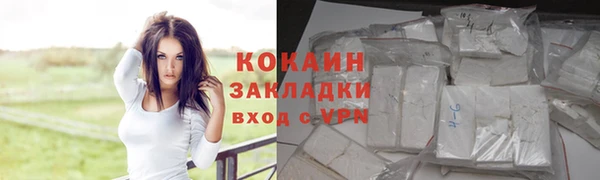 прущий лед Козловка