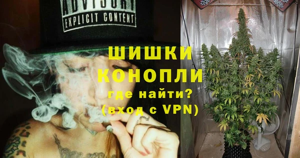 PSILOCYBIN Кодинск