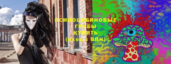 PSILOCYBIN Кодинск