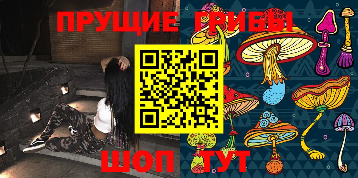 Реутов  Псилоцибиновые грибы Psilocybe  Вход с VPN 