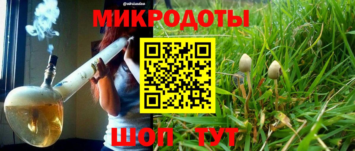 Галлюциногенные грибы прущие грибы Реутов